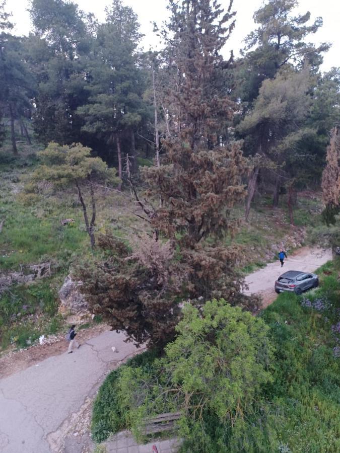 Апартаменты Ένα Μέρος Για Ήσυχες Διακοπές Янина Экстерьер фото