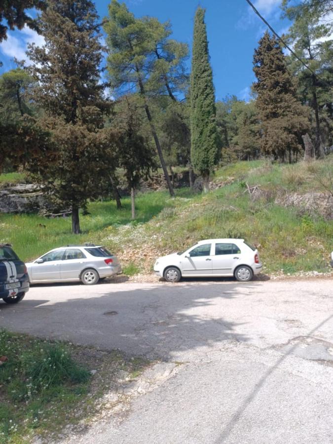 Апартаменты Ένα Μέρος Για Ήσυχες Διακοπές Янина Экстерьер фото
